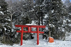 年末年始はいかがお過ごしでしたでしょうか?